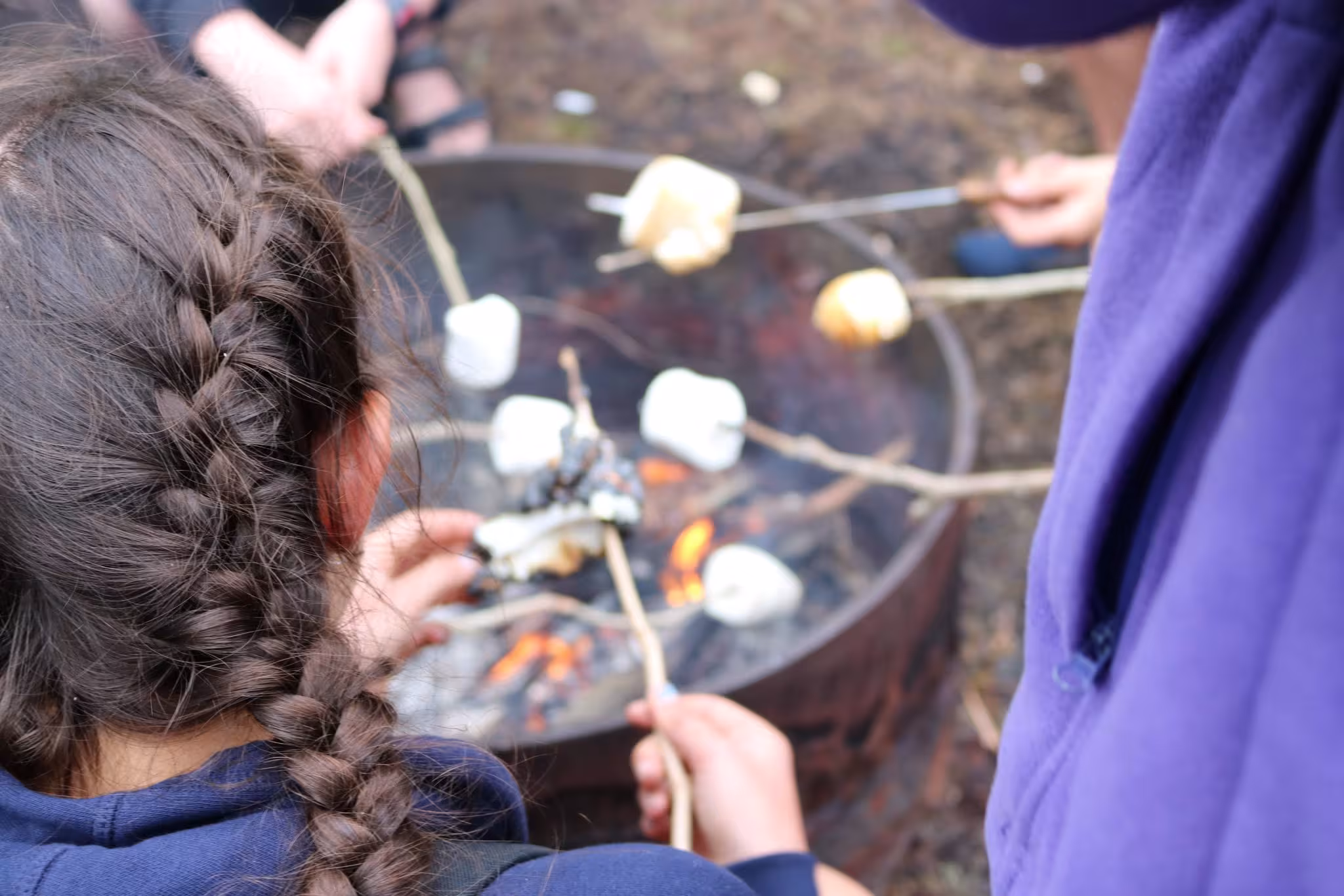 Marshmallow sticks cooking over a campfire